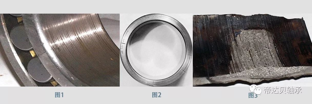 1567482537316561.jpg 微信图片201901.jpg